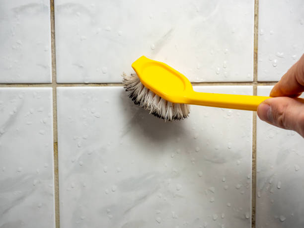 Best Mold Remediation  in Osprey, FL