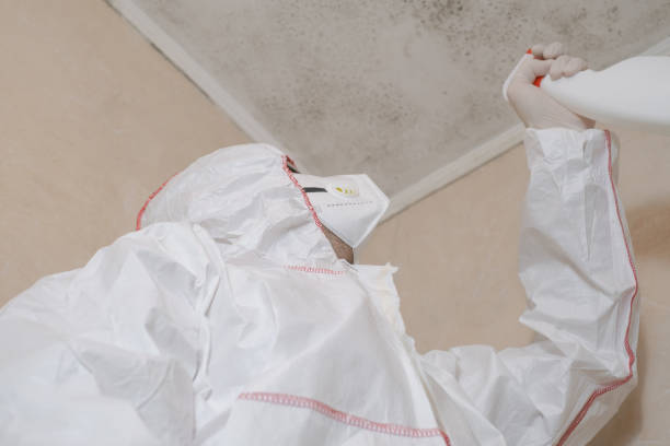 Best Home Mold Removal  in Osprey, FL